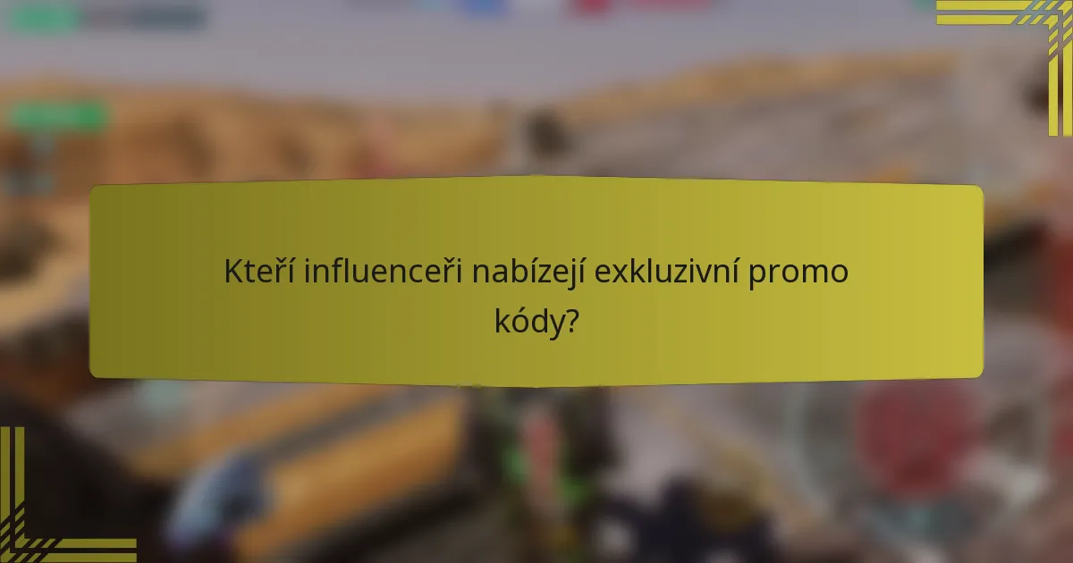 Kteří influenceři nabízejí exkluzivní promo kódy?